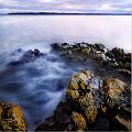 paysage 05_02_2011n05